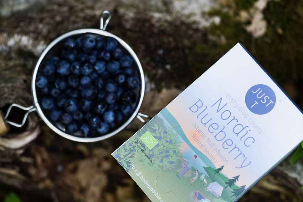 Teebox "Nordic Blueberry" neben Schale mit frischen Blaubeeren auf einem Baumstamm.